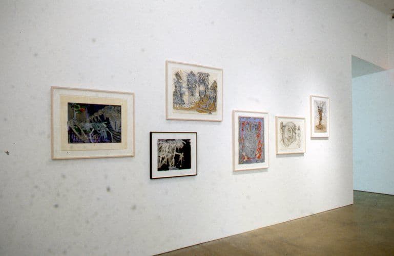Disparities and Deformations Installation 2004