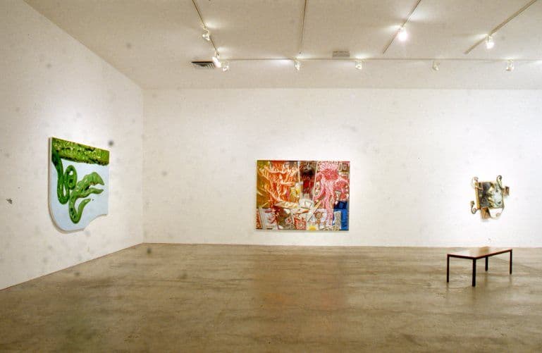 Disparities and Deformations Installation 2004