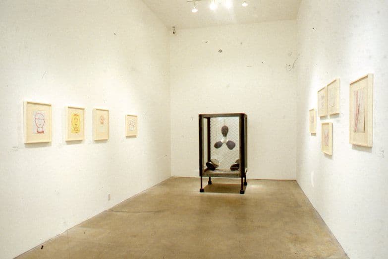 Disparities and Deformations Installation 2004