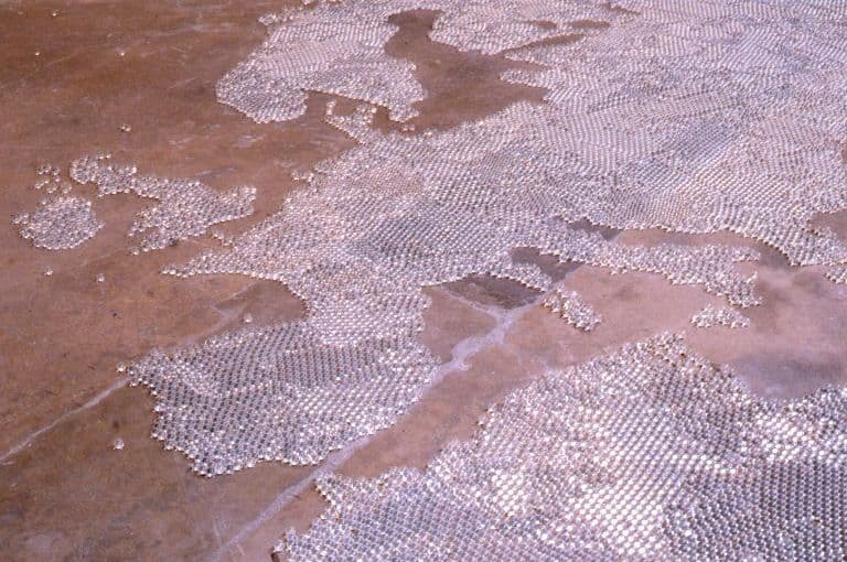 Looking For A Place Installation 1999