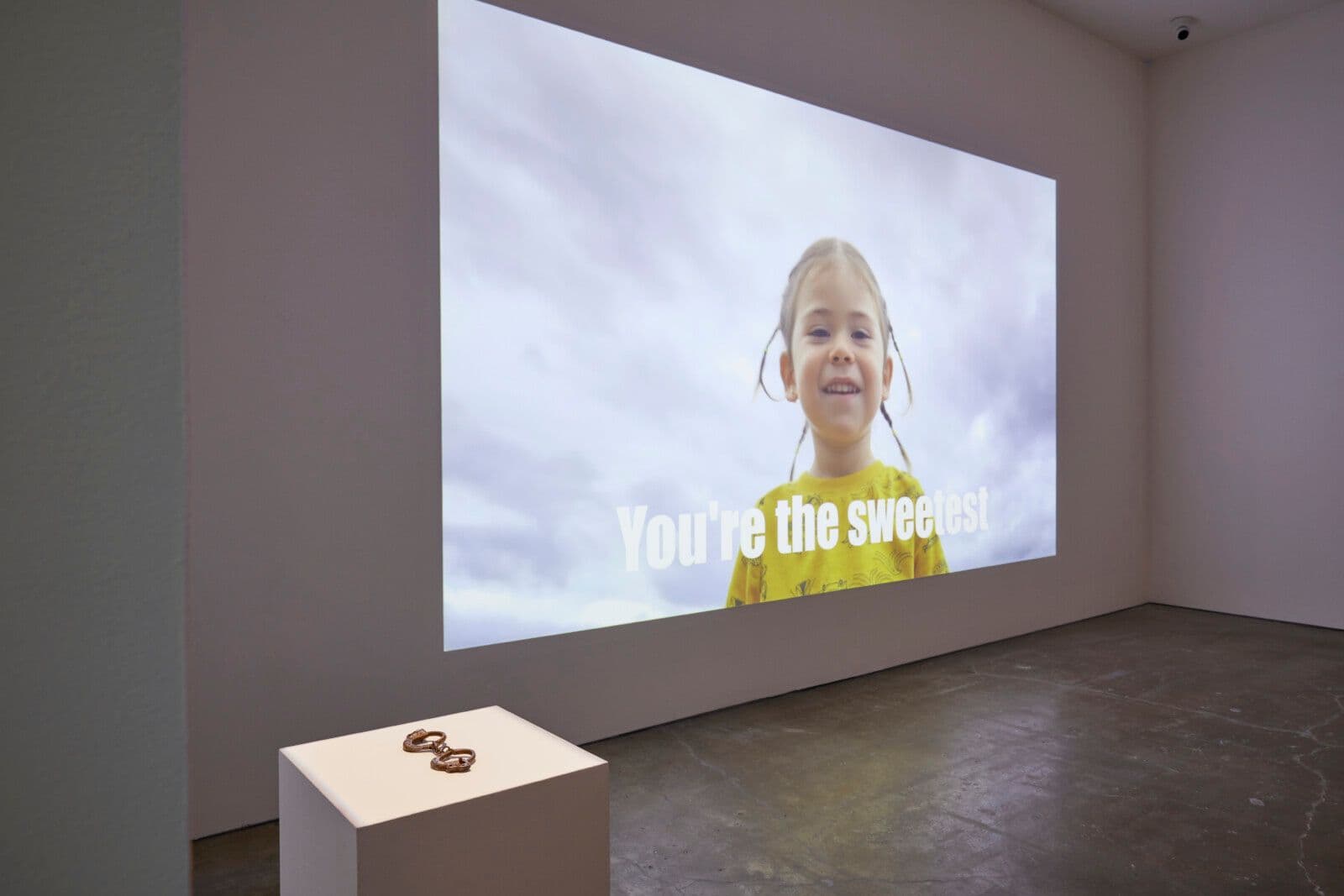 Nicholas Galanin: Interference Patterns installed at SITE SANTA FE, photo by Brad Trone