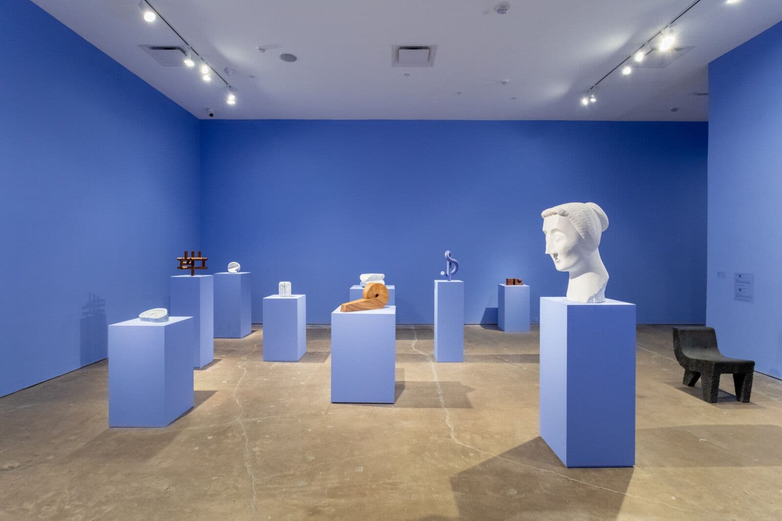 Pedro Reyes, DIRECT ACTION, 2023, Installation view, image courtesy of SITE Santa Fe, photo by Shayla Blatchford-427-HDR-Edit