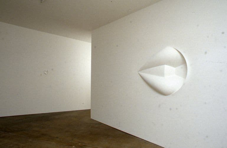 Disparities and Deformations Installation 2004