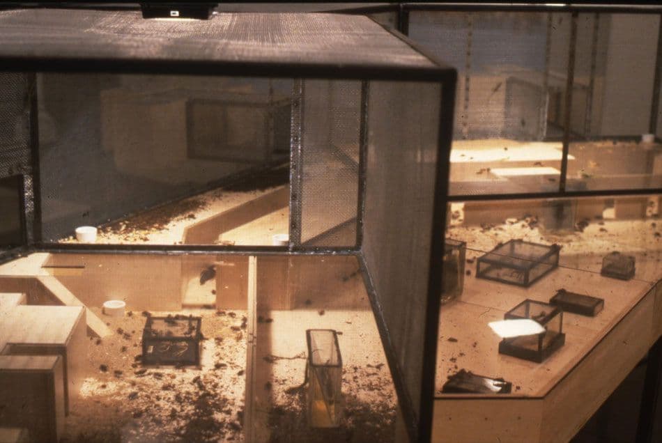 TRUCE Installation 1997