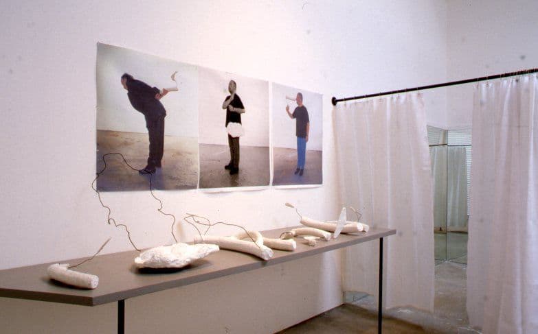 Disparities and Deformations Installation 2004
