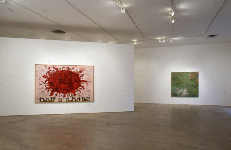 Disparities and Deformations Installation 2004