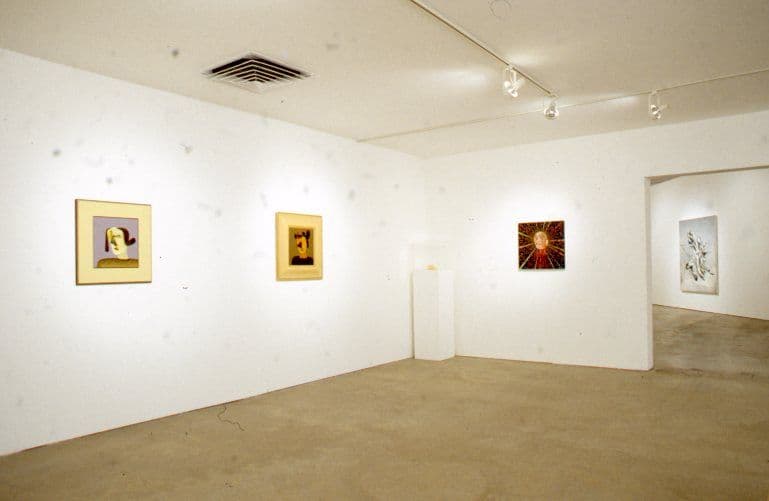 Disparities and Deformations Installation 2004
