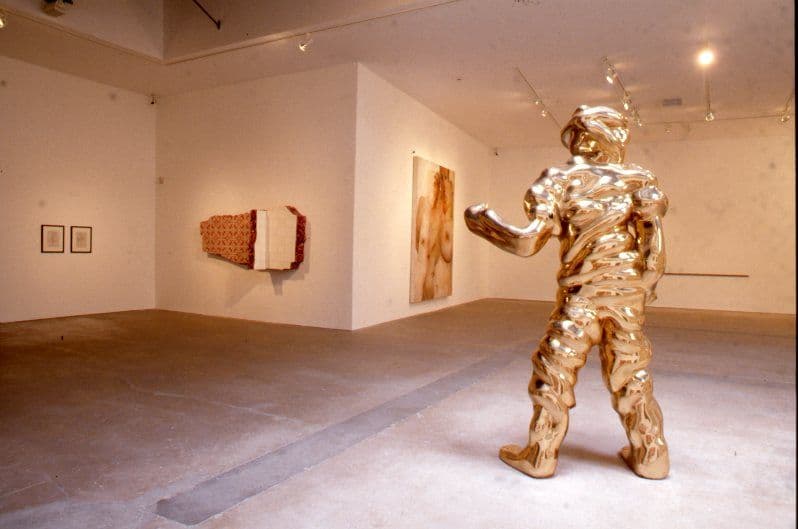 Disparities and Deformations Installation 2004