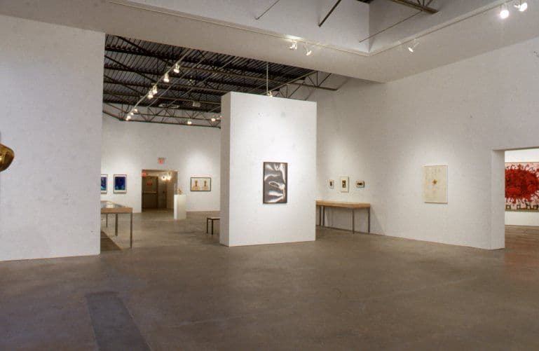 Disparities and Deformations Installation 2004