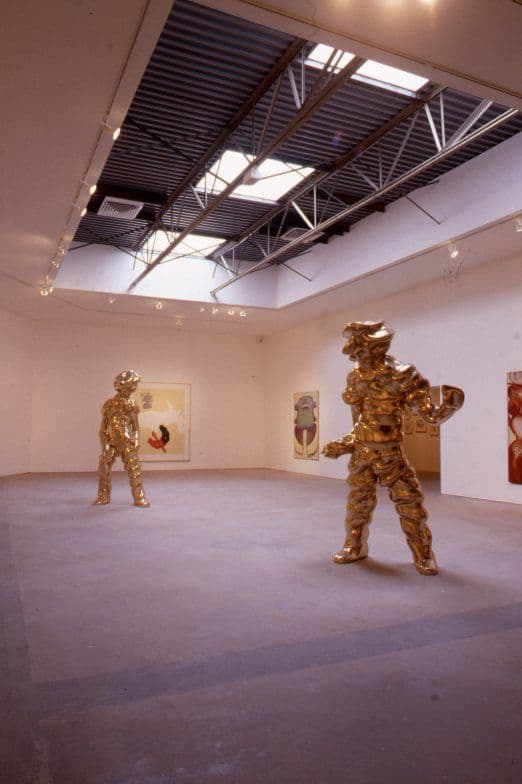 Disparities and Deformations Installation 2004