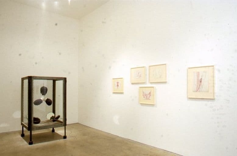 Disparities and Deformations Installation 2004