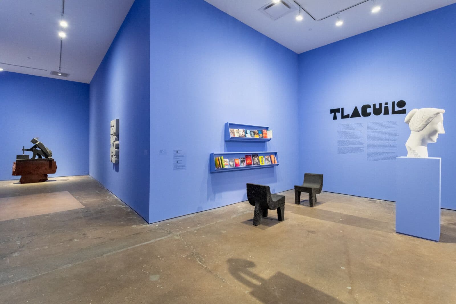 Pedro Reyes, DIRECT ACTION, 2023, Installation view, image courtesy of SITE Santa Fe, photo by Shayla Blatchford-442-HDR-Edit