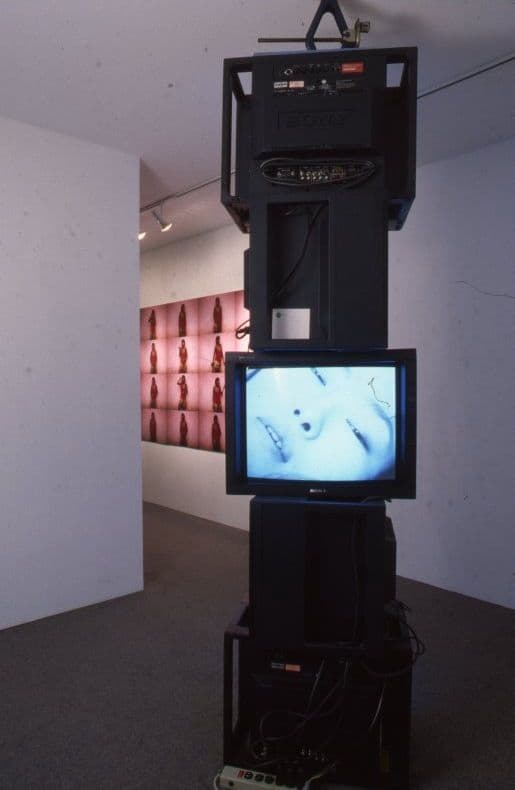TRUCE Installation 1997